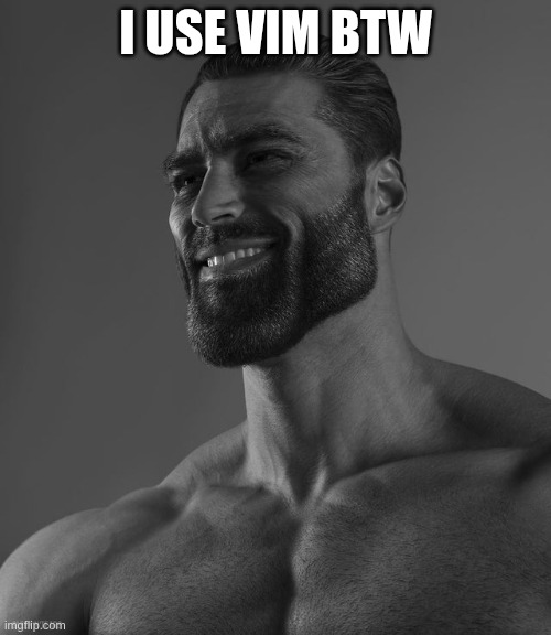 vim btw